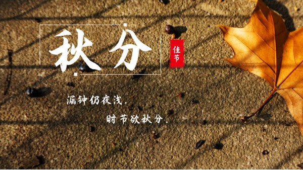 樓上樓門窗 | 白露秋分夜,一夜冷一夜，高端門窗安排上！